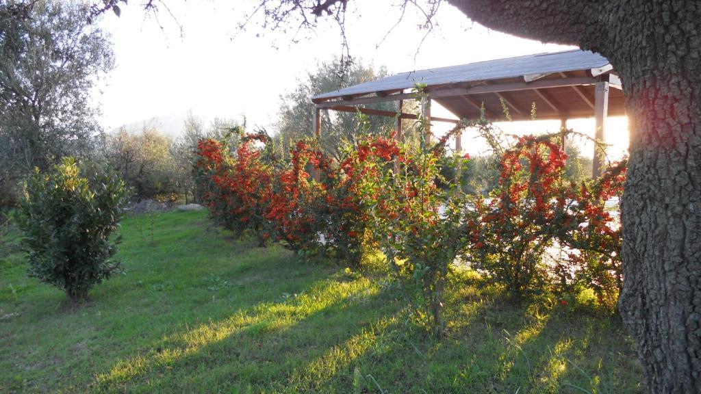 Maria Caderina Green Village Posada  Exterior photo